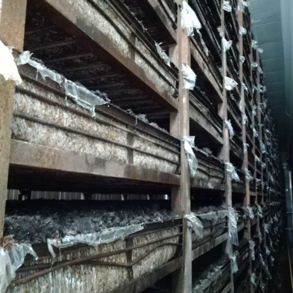 Champignonnière de la Perrière a crouy