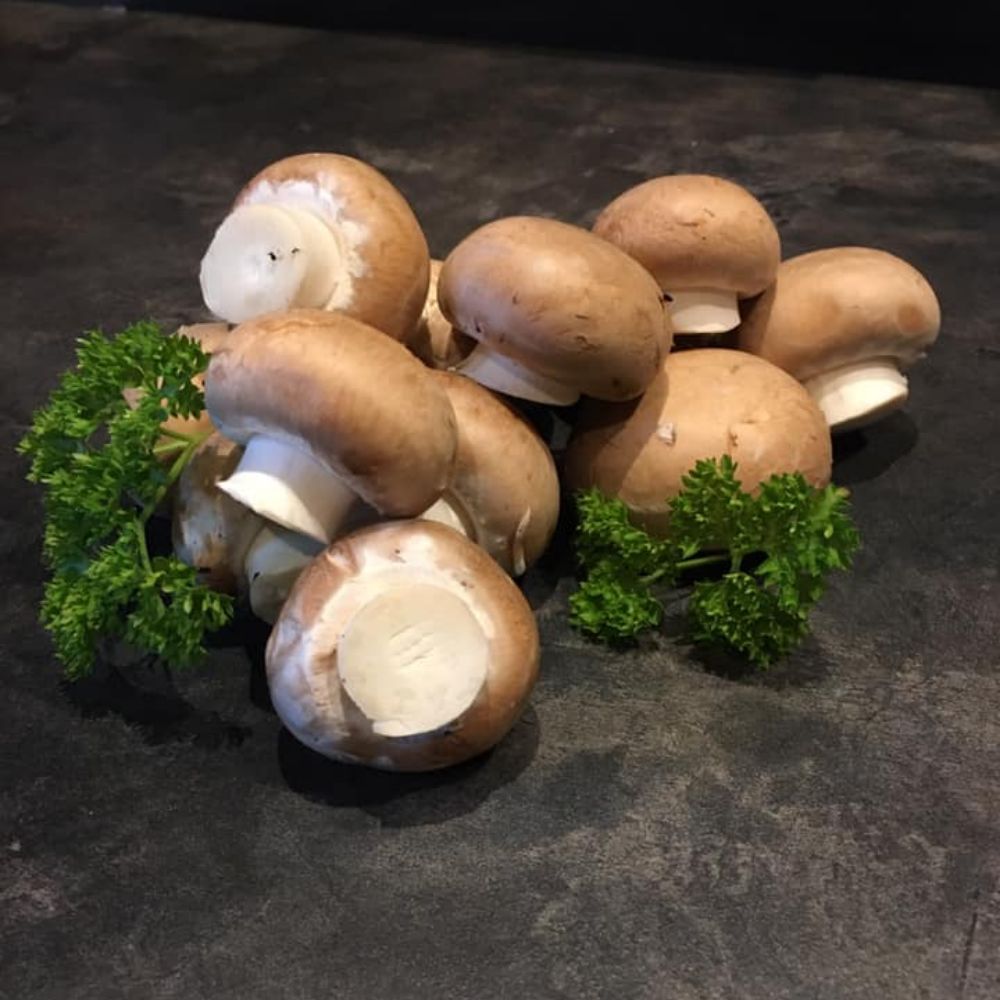 Champignonnière de la Perrière a crouy