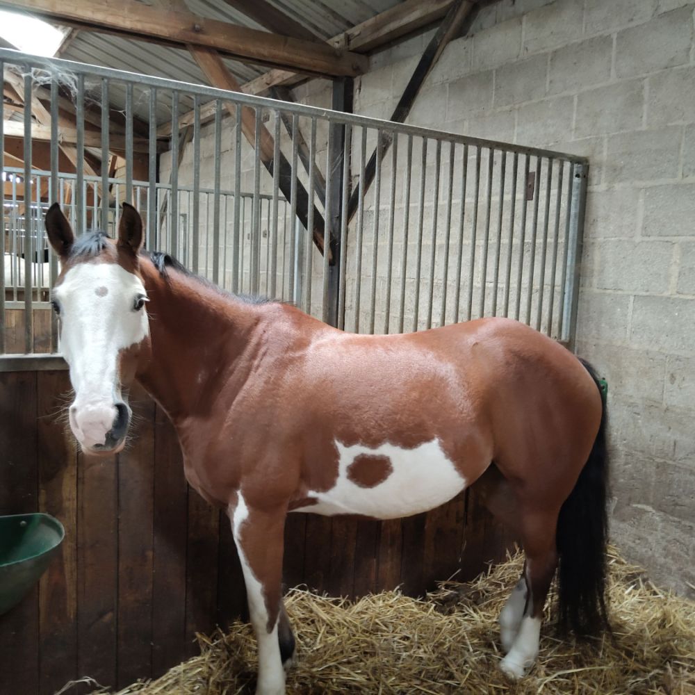 Les Ecuries de Vendielo a crouy
